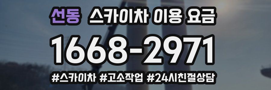 선동 스카이차 이용 요금
