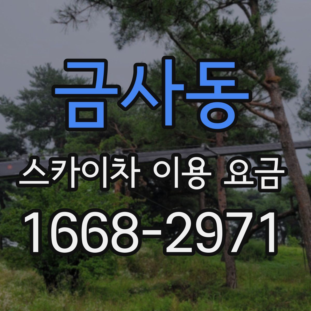 금사동 스카이차 이용 요금