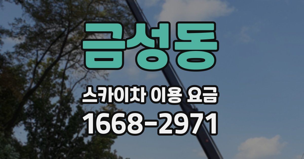 금성동 스카이차 이용 요금