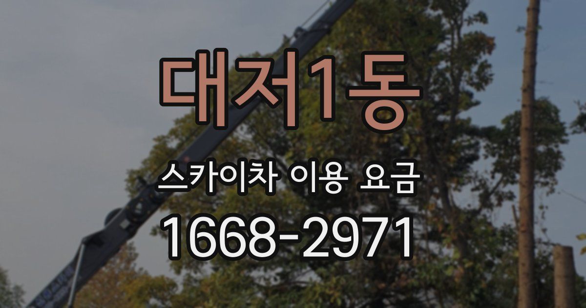 대저1동 스카이차 이용 요금