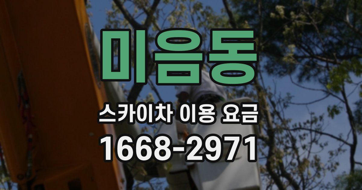 미음동 스카이차 이용 요금