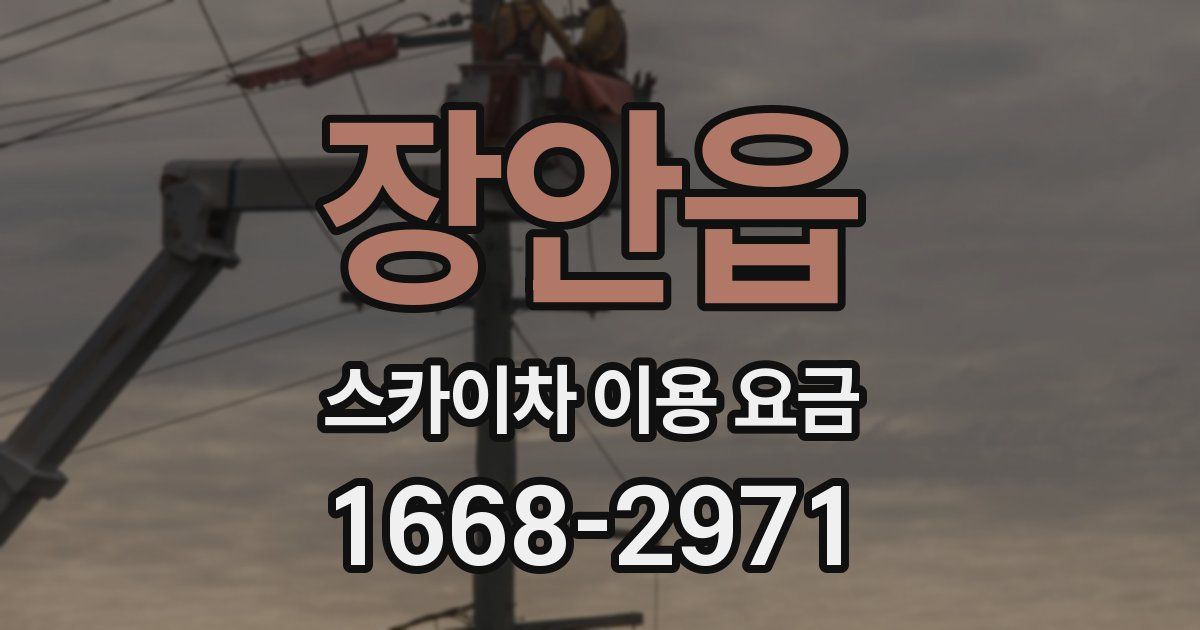 장안읍 스카이차 이용 요금