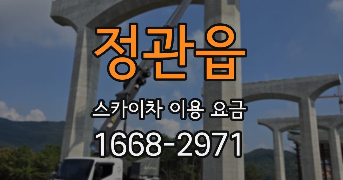 정관읍 스카이차 이용 요금