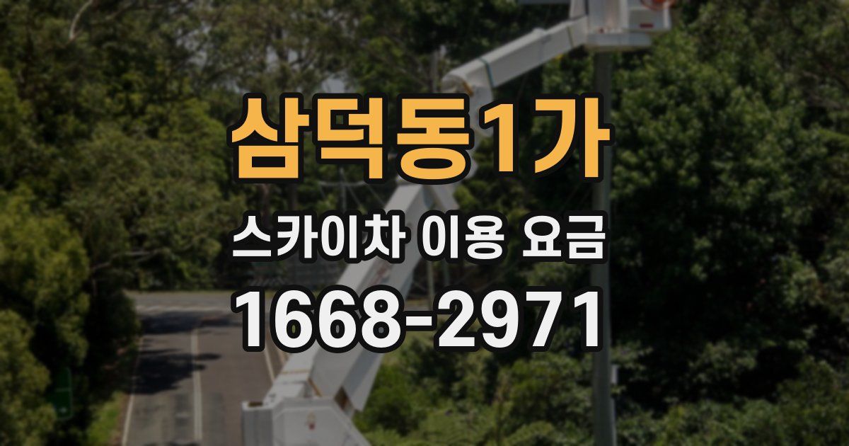 삼덕동1가 스카이차 이용 요금