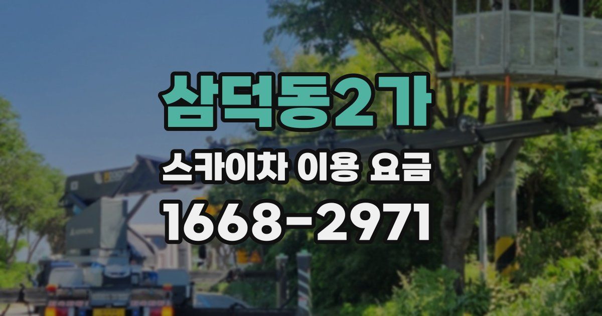 삼덕동2가 스카이차 이용 요금