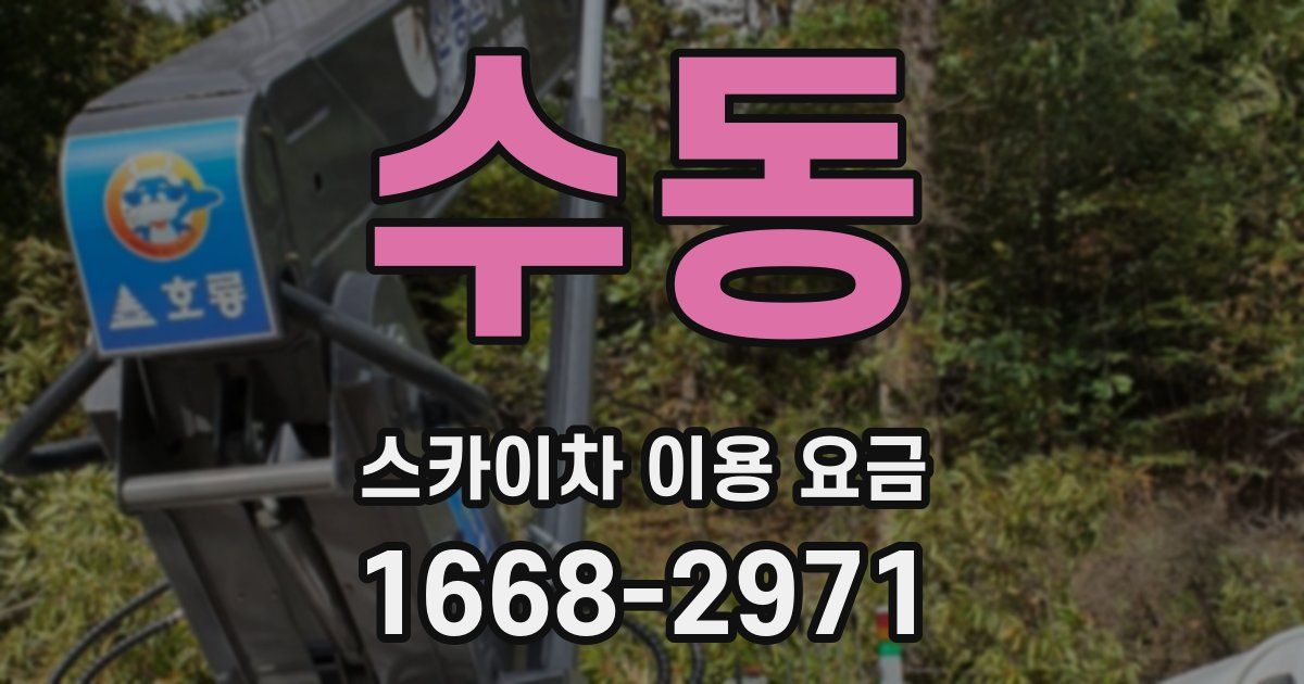 수동 스카이차 이용 요금