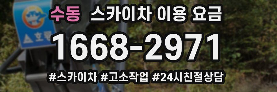 수동 스카이차 이용 요금