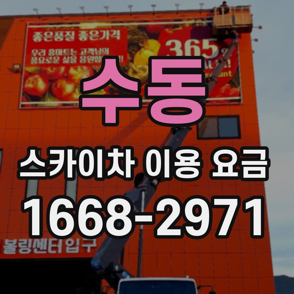 수동 스카이차 이용 요금