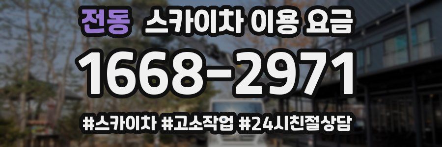 전동 스카이차 이용 요금