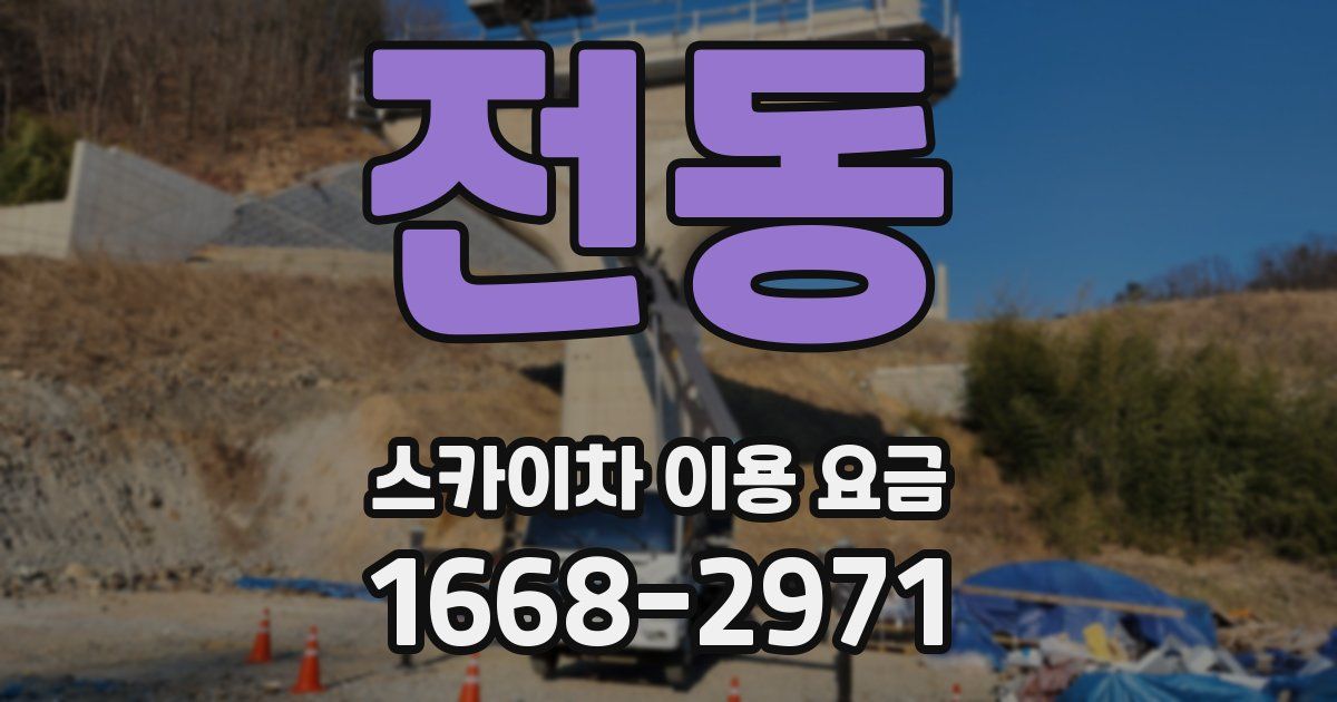 전동 스카이차 이용 요금