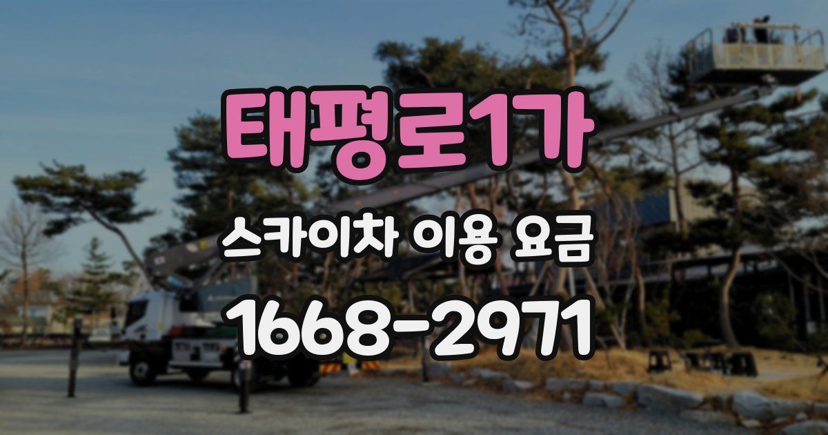 태평로1가 스카이차 이용 요금