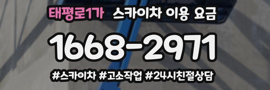 태평로1가 스카이차 이용 요금