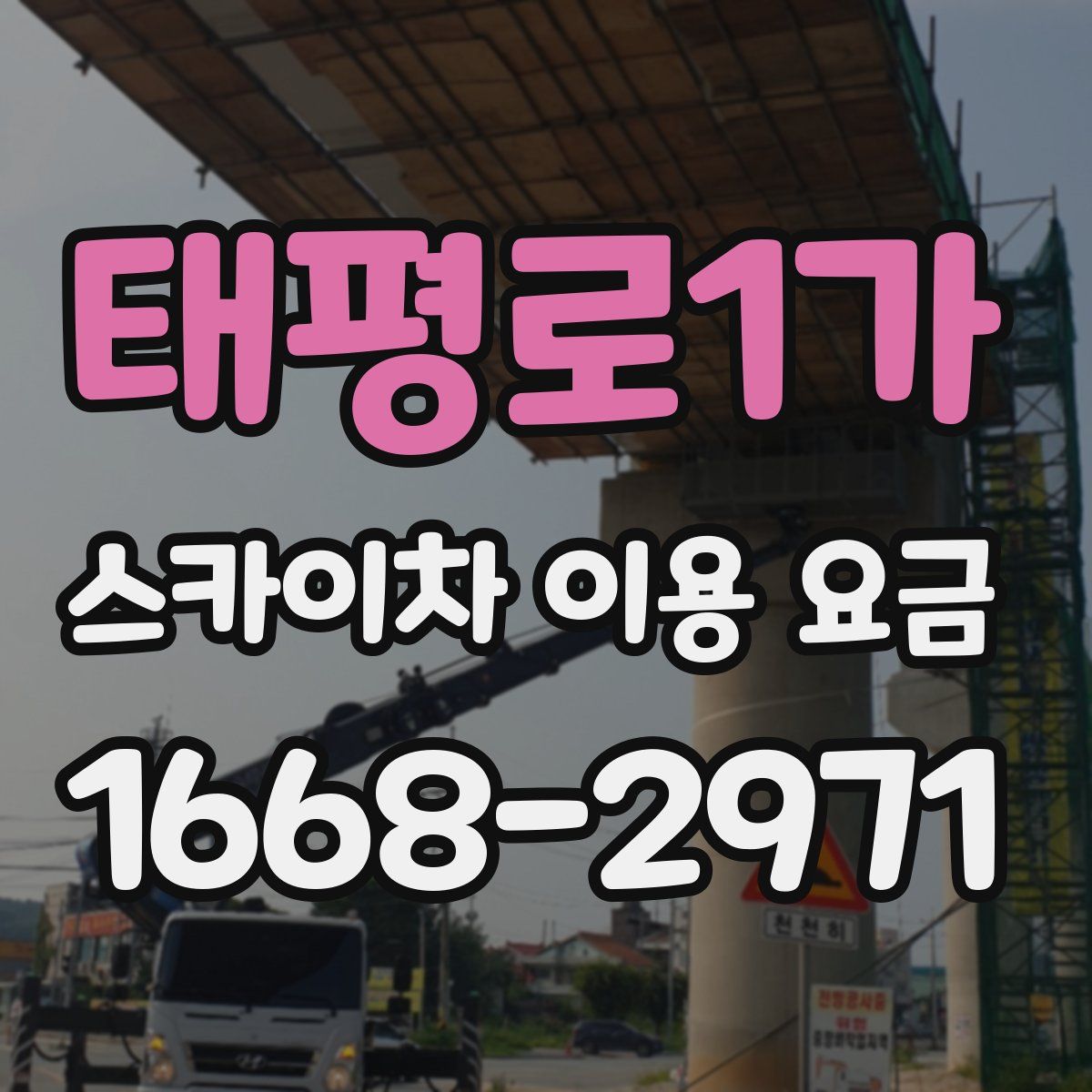 태평로1가 스카이차 이용 요금