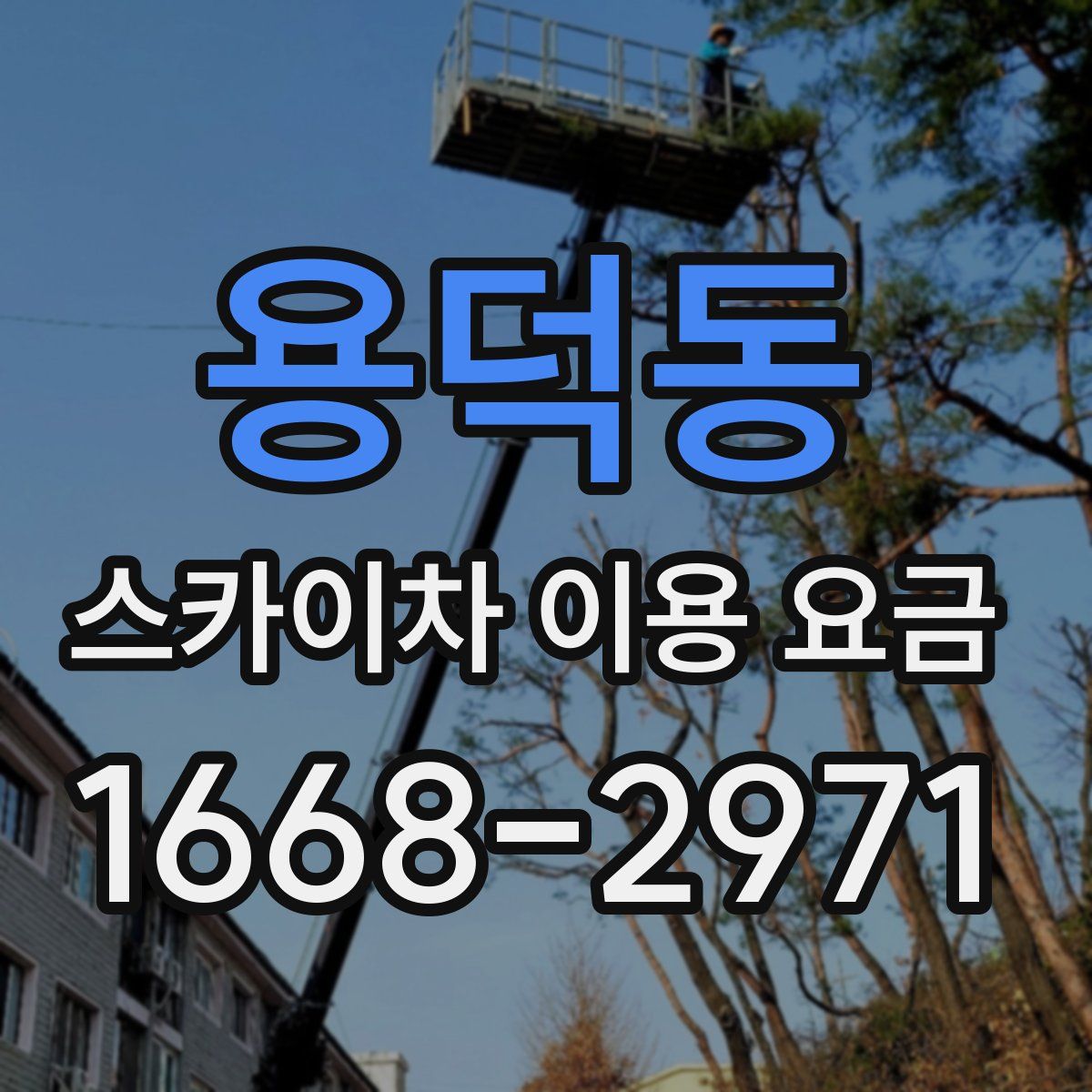 용덕동 스카이차 이용 요금