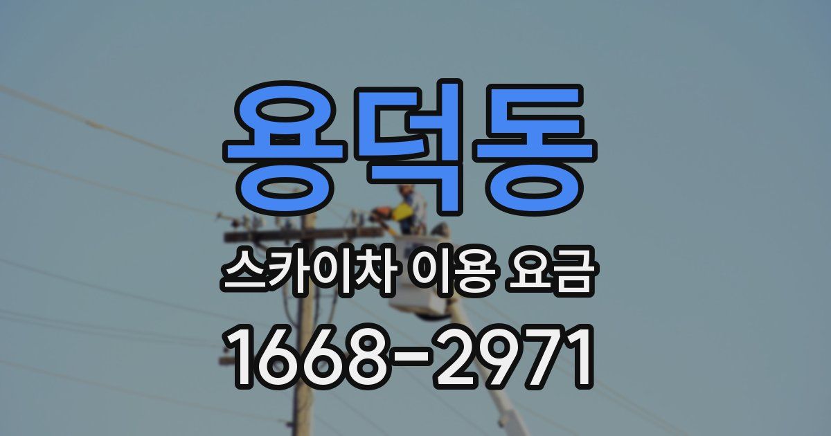 용덕동 스카이차 이용 요금