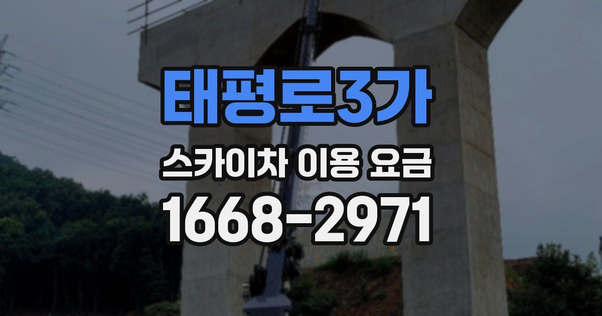 태평로3가 스카이차 이용 요금