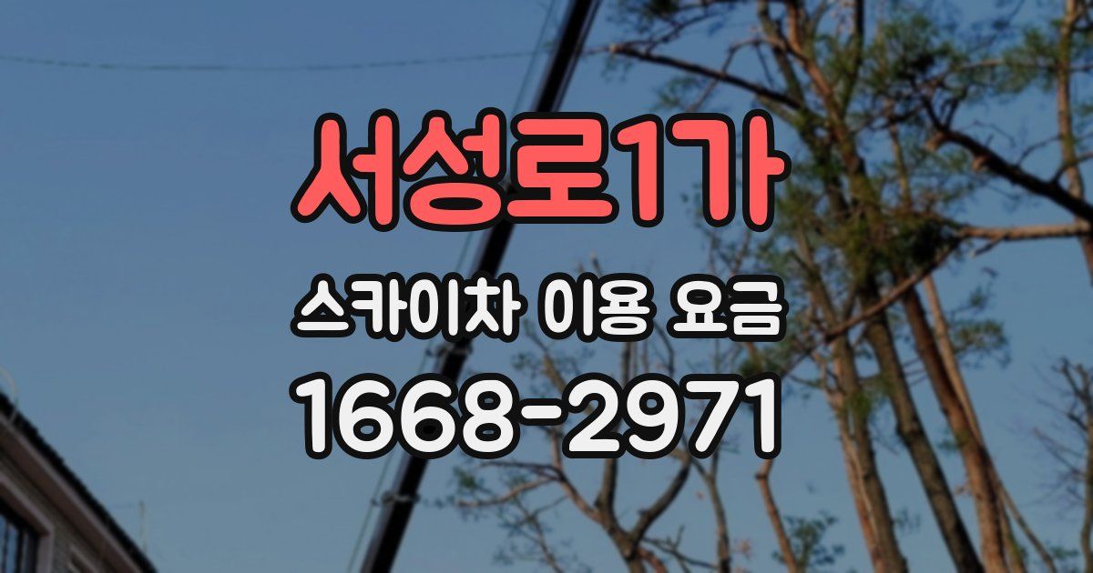 서성로1가 스카이차 이용 요금