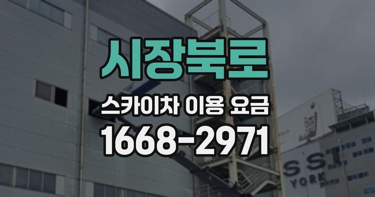 시장북로 스카이차 이용 요금