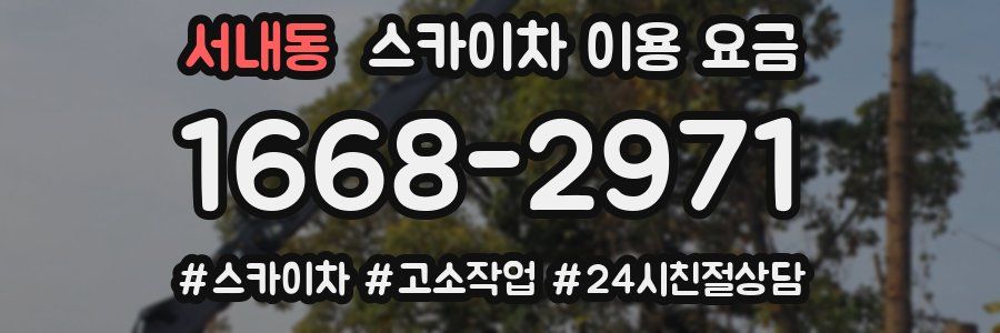 서내동 스카이차 이용 요금
