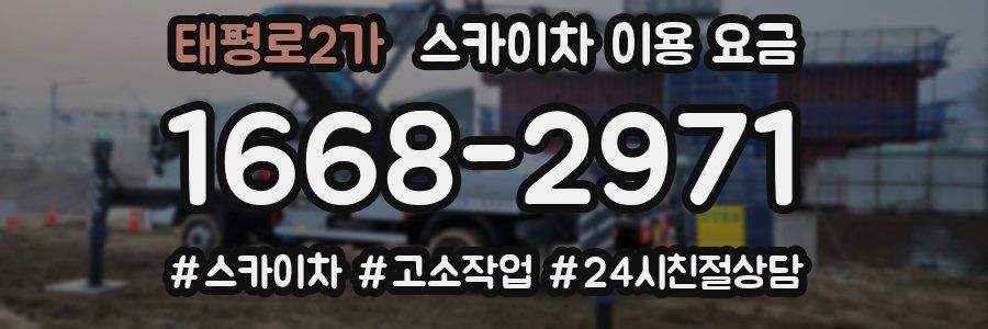 태평로2가 스카이차 이용 요금