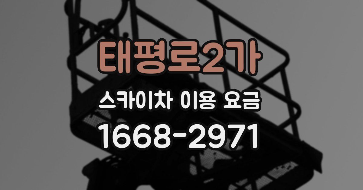 태평로2가 스카이차 이용 요금