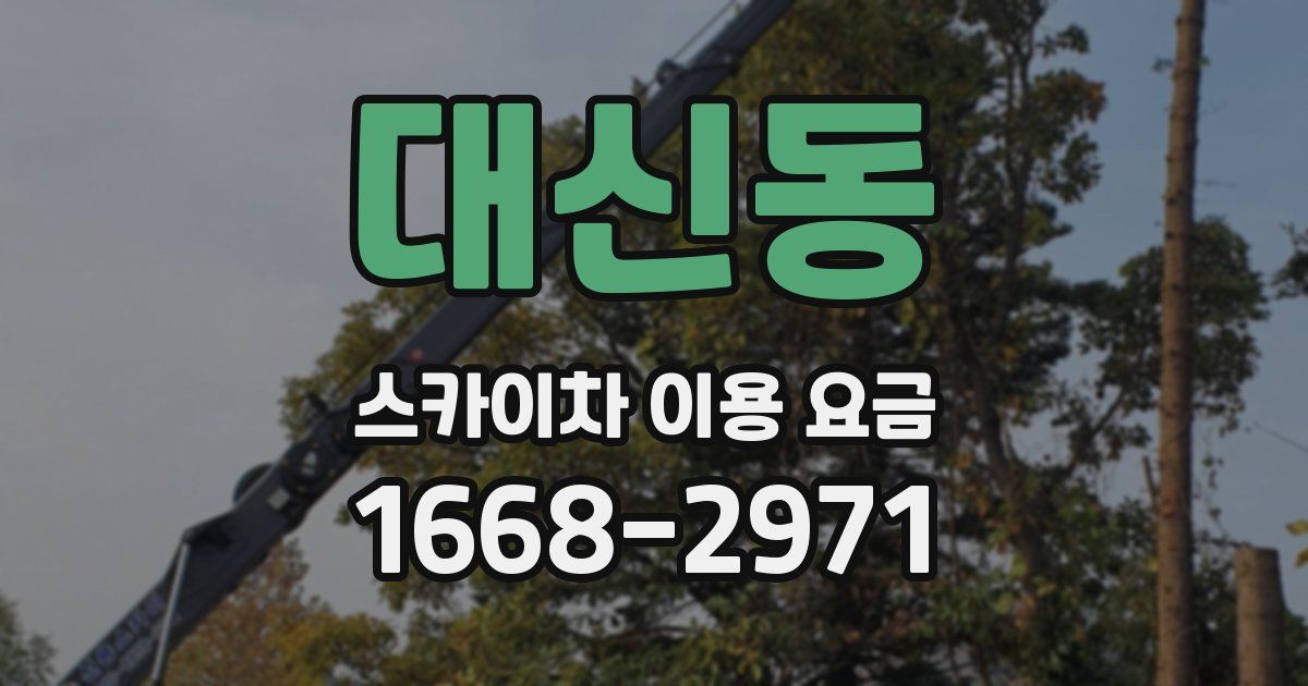대신동 스카이차 이용 요금