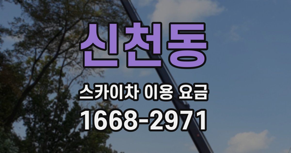 신천동 스카이차 이용 요금