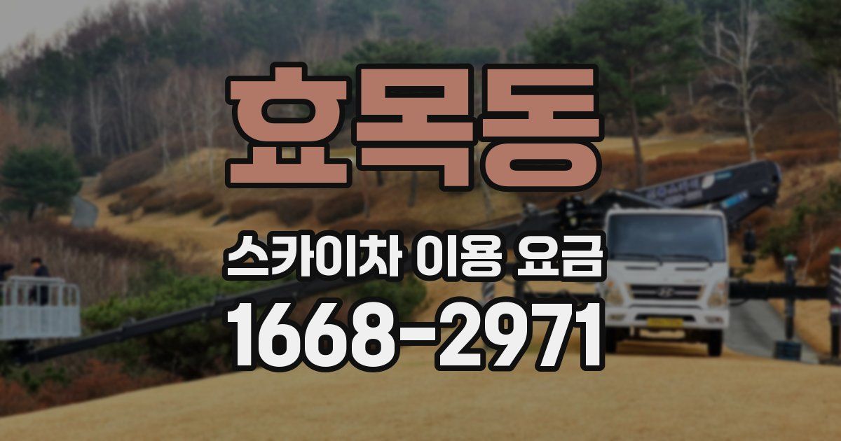 효목동 스카이차 이용 요금