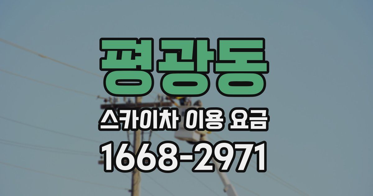 평광동 스카이차 이용 요금