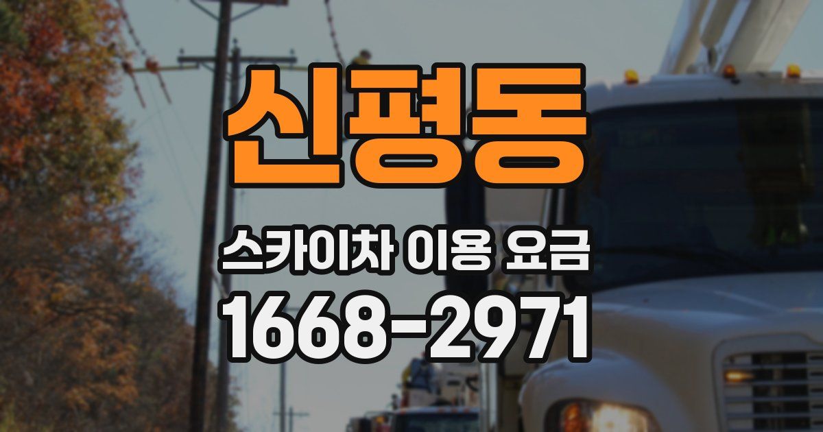 신평동 스카이차 이용 요금