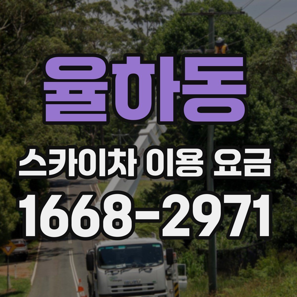 율하동 스카이차 이용 요금 확인할 때 알아두면 편한 점