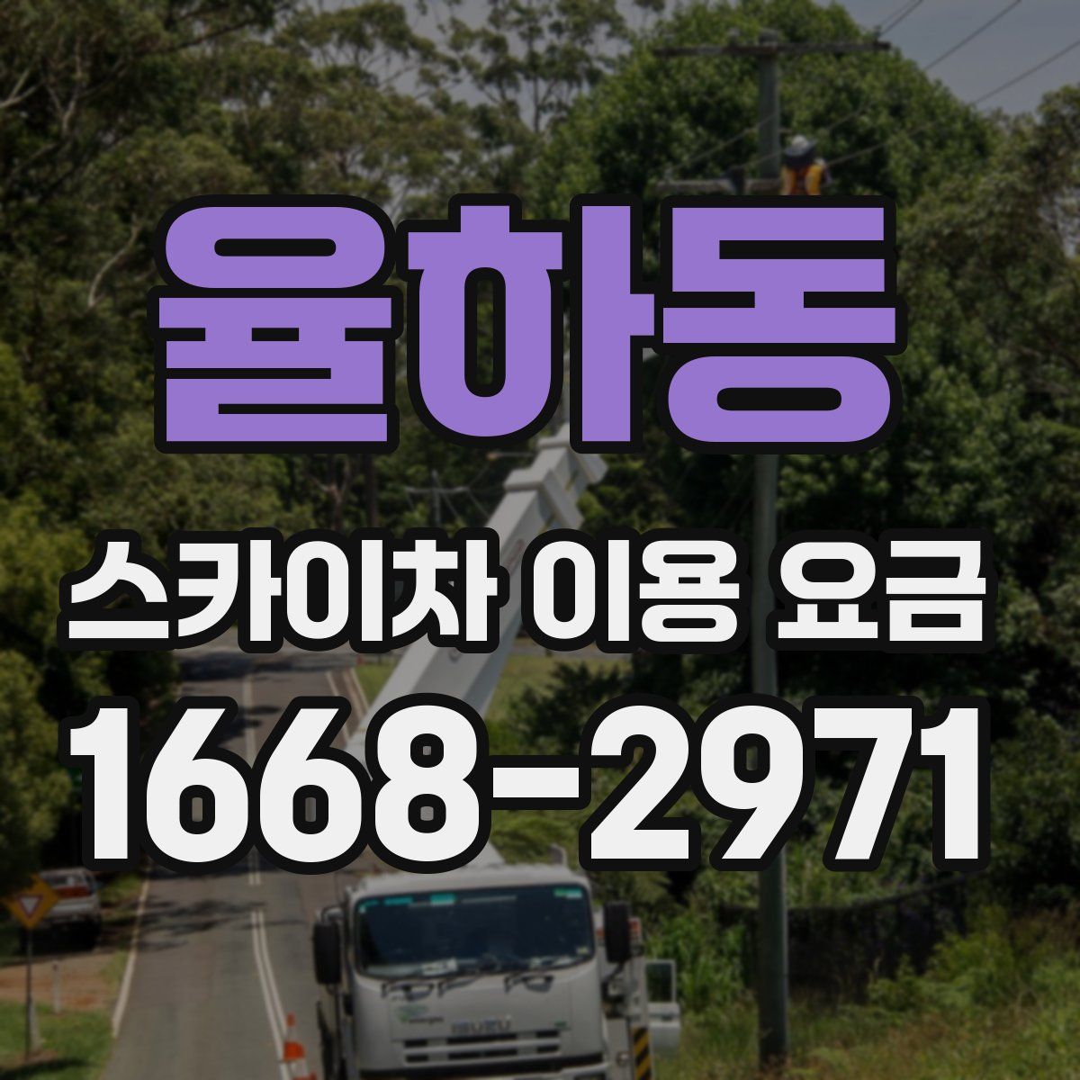 율하동 스카이차 이용 요금