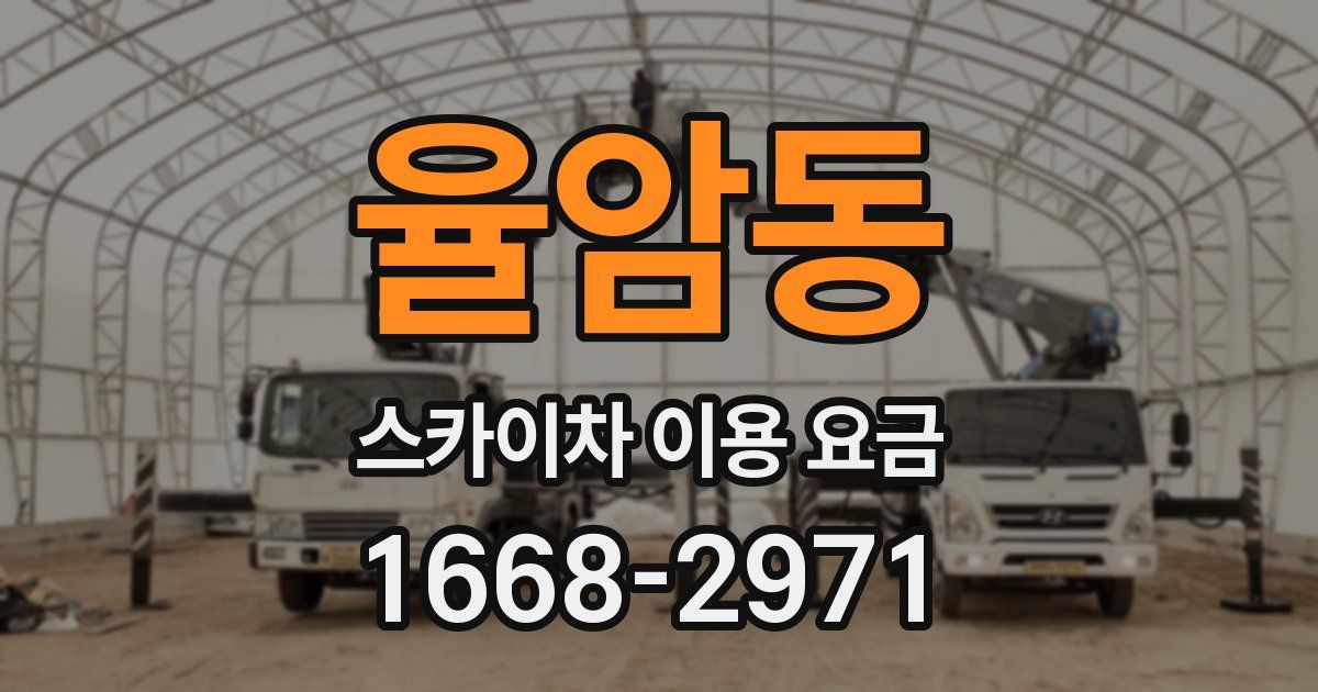 율암동 스카이차 이용 요금