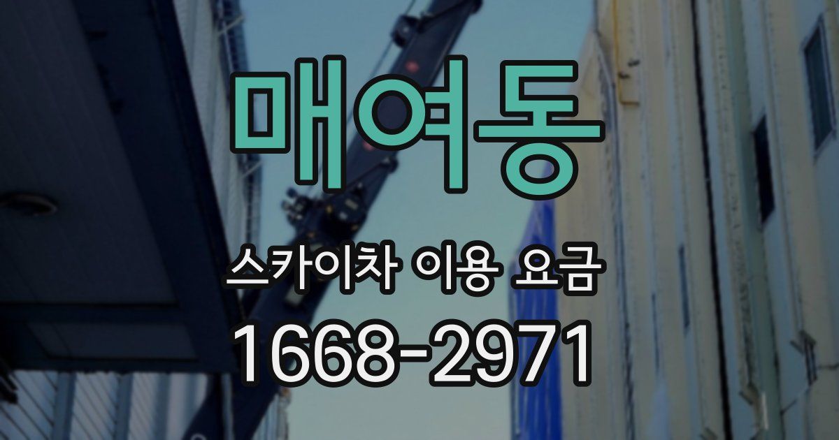 매여동 스카이차 이용 요금