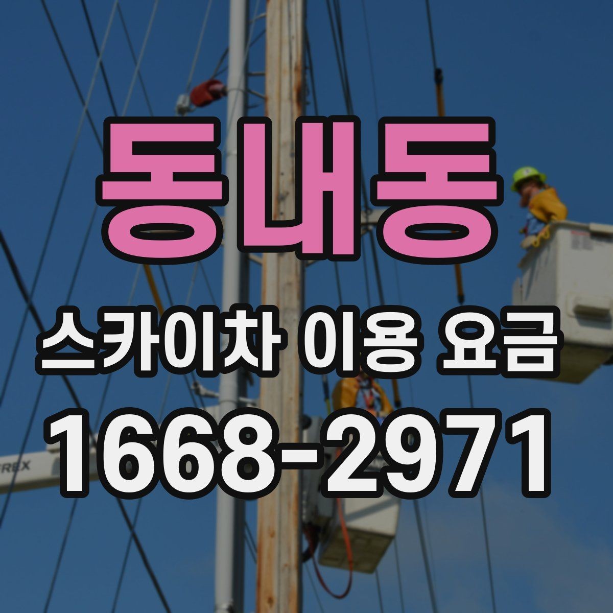 동내동 스카이차 이용 요금 비교, 업체별 안내 방식 차이