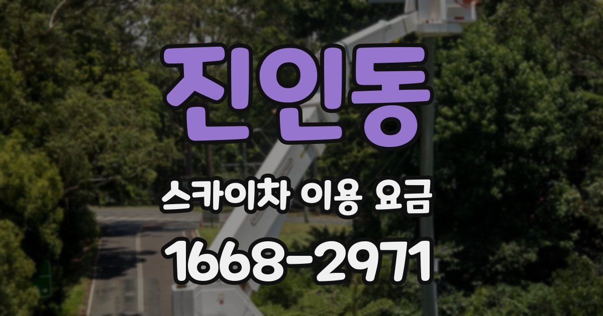 진인동 스카이차 이용 요금