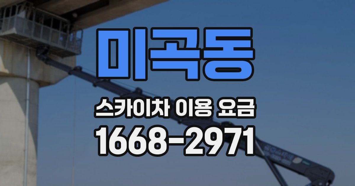 미곡동 스카이차 이용 요금