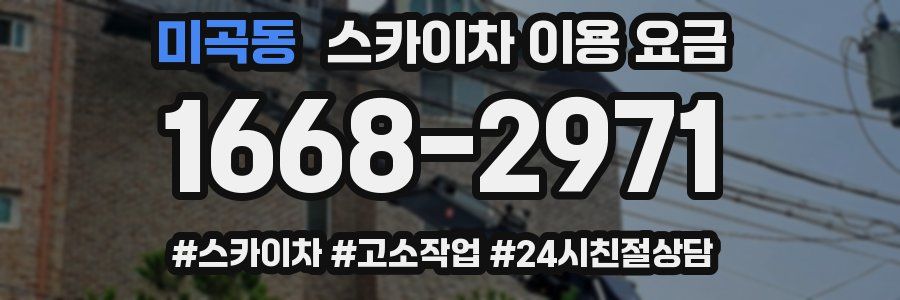 미곡동 스카이차 이용 요금