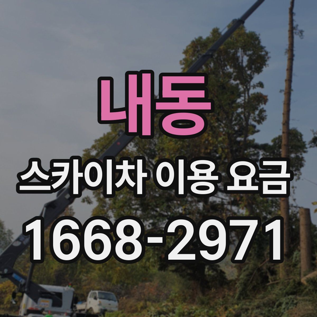 내동 스카이차 이용 요금