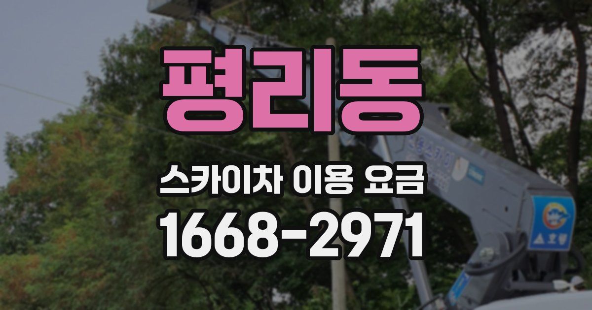 평리동 스카이차 이용 요금