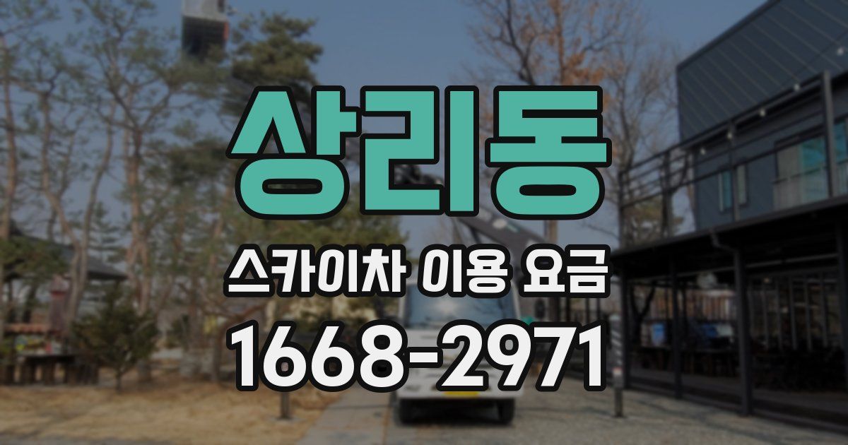 상리동 스카이차 이용 요금