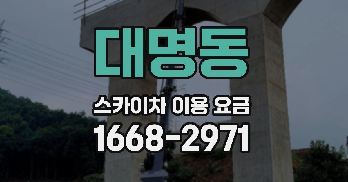 대명동 스카이차 이용 요금