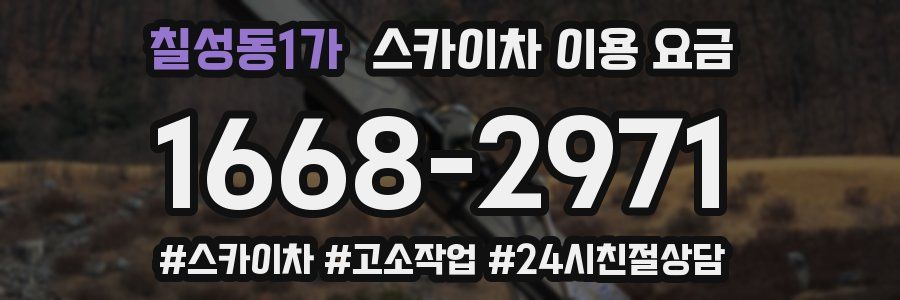 칠성동1가 스카이차 이용 요금