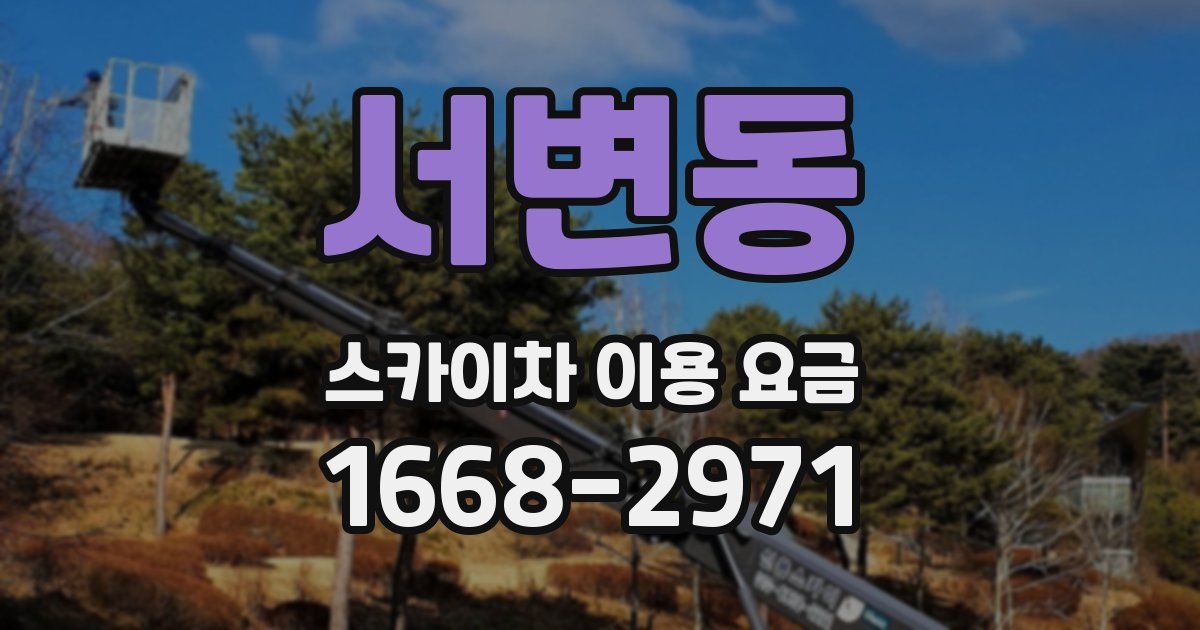 서변동 스카이차 이용 요금
