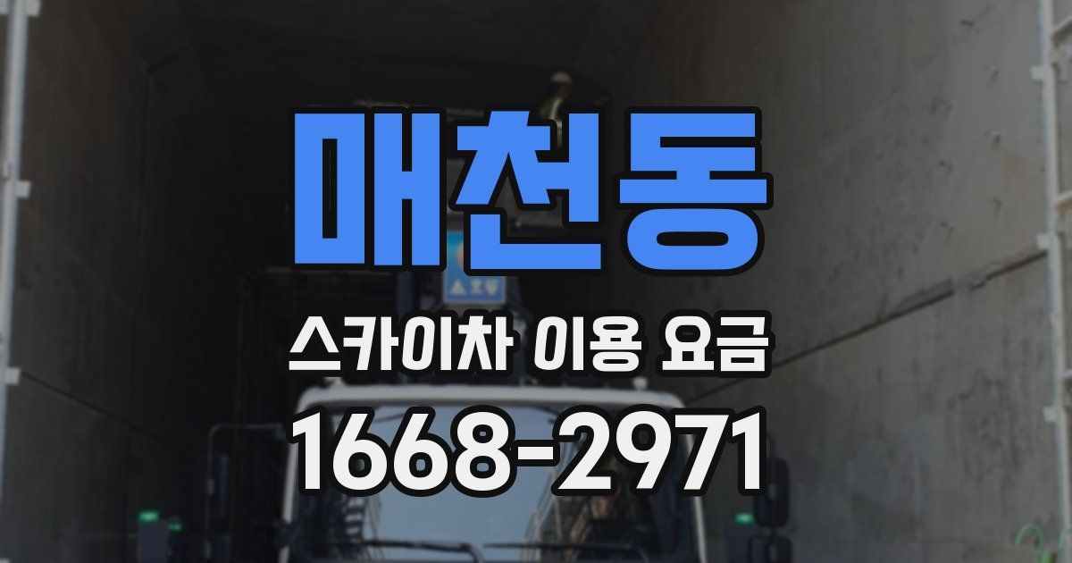 매천동 스카이차 이용 요금