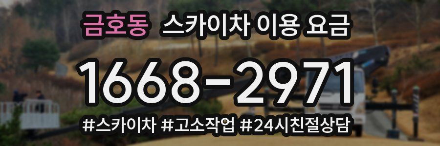 금호동 스카이차 이용 요금