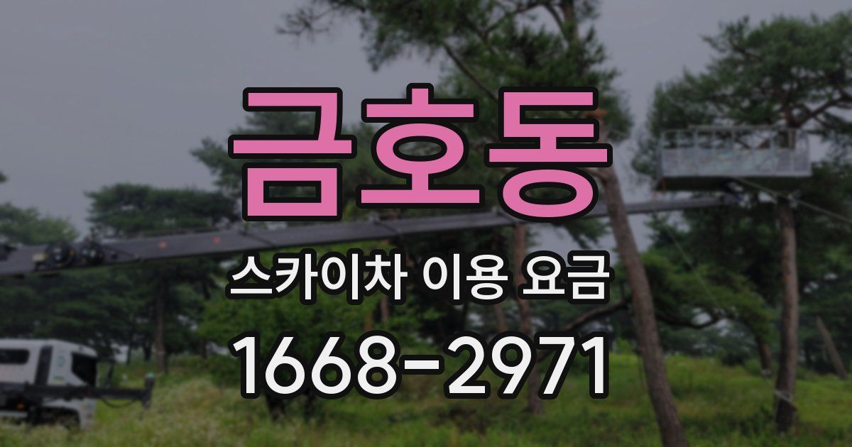 금호동 스카이차 이용 요금