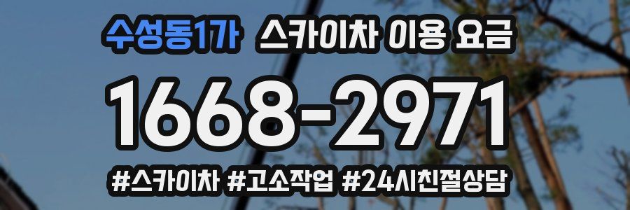 수성동1가 스카이차 이용 요금