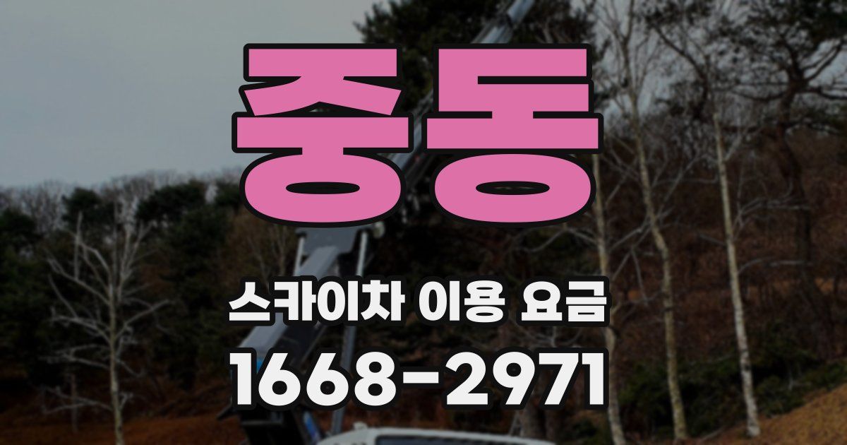 중동 스카이차 이용 요금