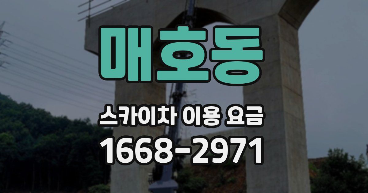 매호동 스카이차 이용 요금